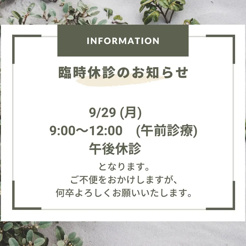 【臨時休診のお知らせ】皆さん、こんにちは！29日（月）は午後...