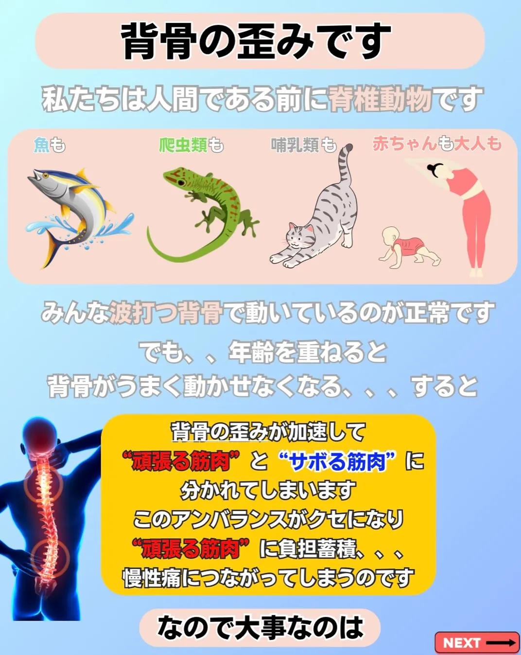 20260826171646_0_5.jpg
